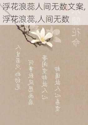 浮花浪蕊人间无数文案,浮花浪蕊,人间无数