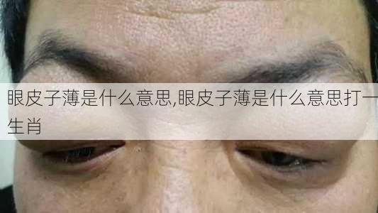 眼皮子薄是什么意思,眼皮子薄是什么意思打一生肖