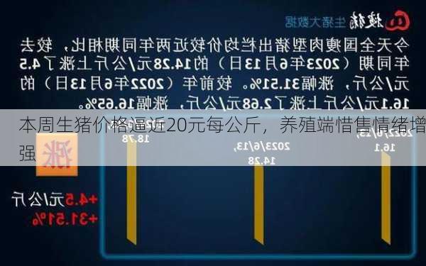 本周生猪价格逼近20元每公斤，养殖端惜售情绪增强