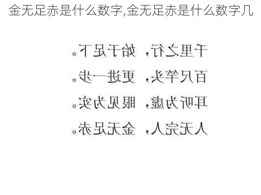 金无足赤是什么数字,金无足赤是什么数字几