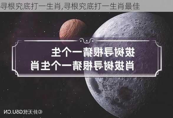 寻根究底打一生肖,寻根究底打一生肖最佳