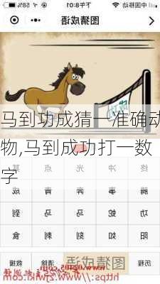 马到功成猜一准确动物,马到成功打一数字