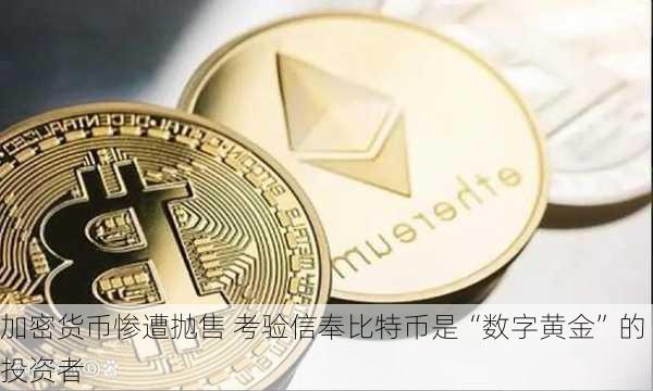 加密货币惨遭抛售 考验信奉比特币是“数字黄金”的投资者