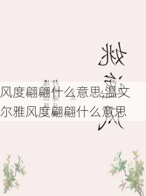 风度翩翩什么意思,温文尔雅风度翩翩什么意思