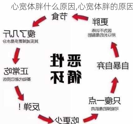 心宽体胖什么原因,心宽体胖的原因