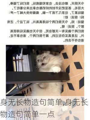 身无长物造句简单,身无长物造句简单一点