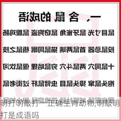 明打明敲打一正确生肖动物,明敲明打是成语吗