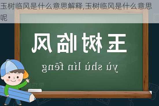 玉树临风是什么意思解释,玉树临风是什么意思呢