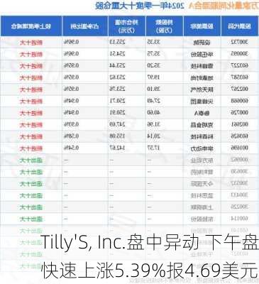 Tilly'S, Inc.盘中异动 下午盘快速上涨5.39%报4.69美元