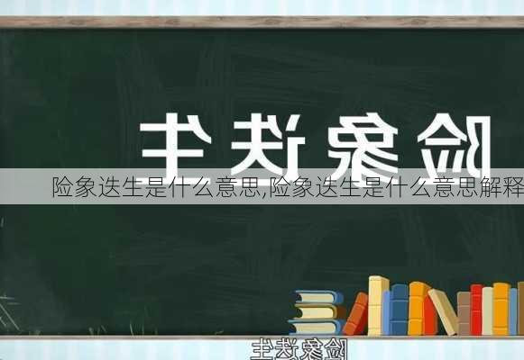 险象迭生是什么意思,险象迭生是什么意思解释