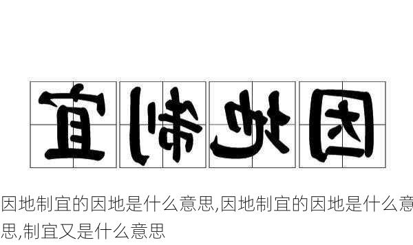 因地制宜的因地是什么意思,因地制宜的因地是什么意思,制宜又是什么意思