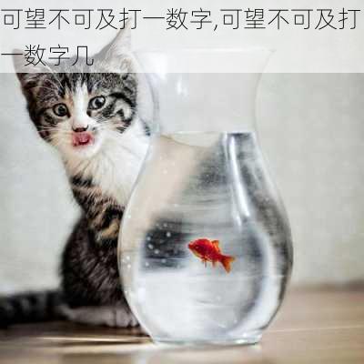 可望不可及打一数字,可望不可及打一数字几