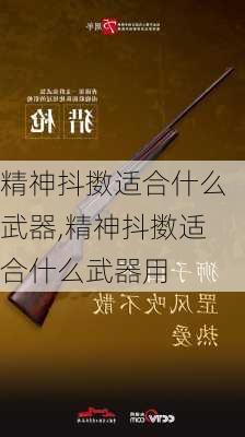 精神抖擞适合什么武器,精神抖擞适合什么武器用