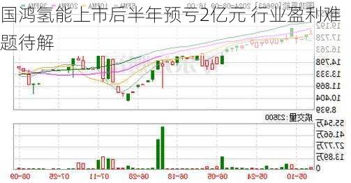 国鸿氢能上市后半年预亏2亿元 行业盈利难题待解