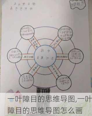 一叶障目的思维导图,一叶障目的思维导图怎么画