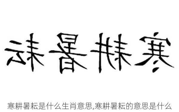 寒耕暑耘是什么生肖意思,寒耕暑耘的意思是什么