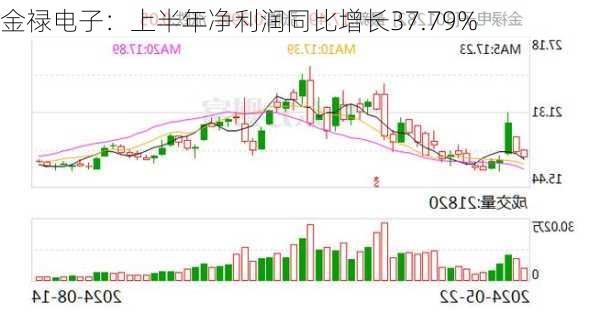 金禄电子：上半年净利润同比增长37.79%