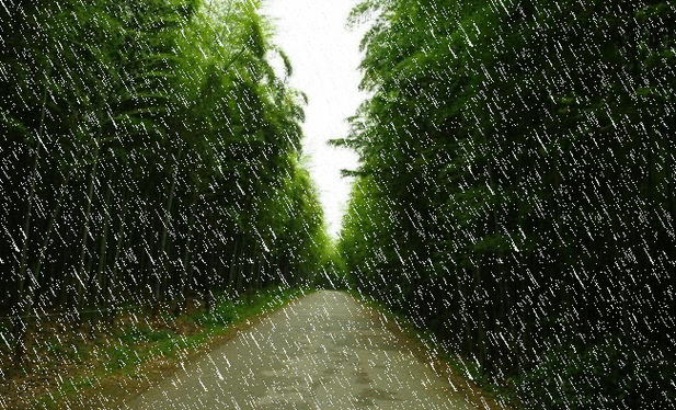 牛毛细雨和蒙蒙细雨哪个大,牛毛细雨和蒙蒙细雨哪个大哪个小