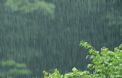 牛毛细雨和蒙蒙细雨哪个大,牛毛细雨和蒙蒙细雨哪个大哪个小