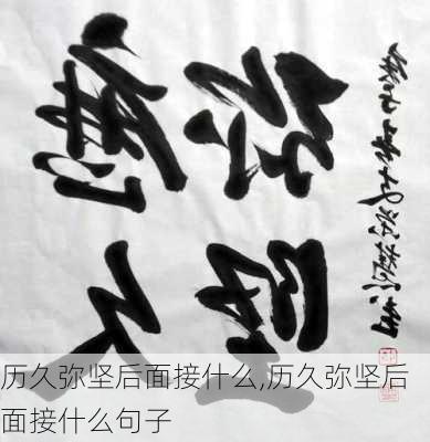 历久弥坚后面接什么,历久弥坚后面接什么句子