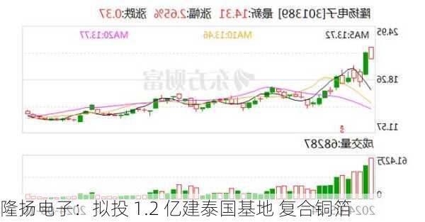 隆扬电子：拟投 1.2 亿建泰国基地 复合铜箔