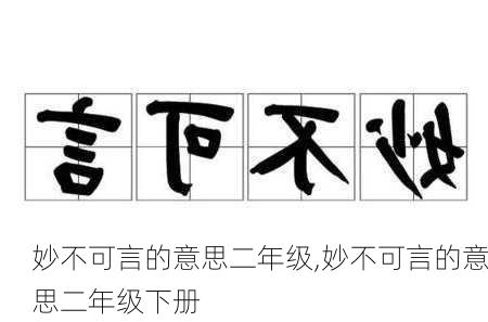 妙不可言的意思二年级,妙不可言的意思二年级下册