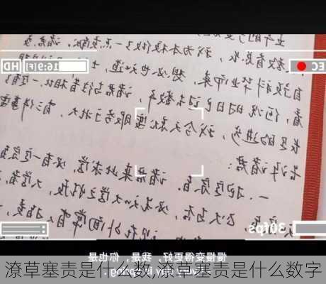 潦草塞责是什么数,潦草塞责是什么数字