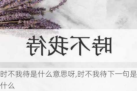 时不我待是什么意思呀,时不我待下一句是什么