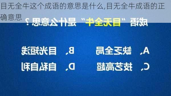 目无全牛这个成语的意思是什么,目无全牛成语的正确意思