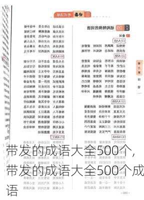 带发的成语大全500个,带发的成语大全500个成语