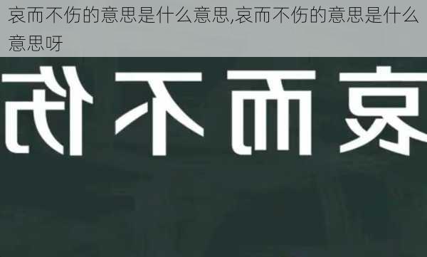 哀而不伤的意思是什么意思,哀而不伤的意思是什么意思呀