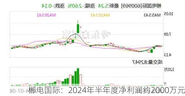 郴电国际：2024年半年度净利润约2000万元