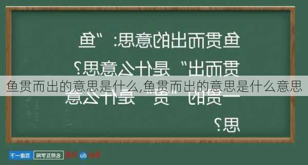 鱼贯而出的意思是什么,鱼贯而出的意思是什么意思