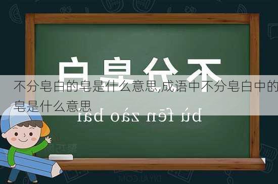 不分皂白的皂是什么意思,成语中不分皂白中的皂是什么意思