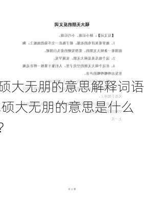 硕大无朋的意思解释词语,硕大无朋的意思是什么?