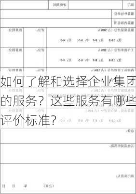 如何了解和选择企业集团的服务？这些服务有哪些评价标准？