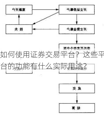 如何使用证券交易平台？这些平台的功能有什么实际用途？