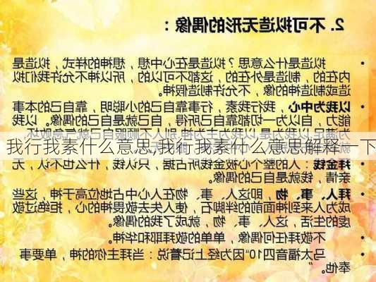 我行我素什么意思,我行我素什么意思解释一下