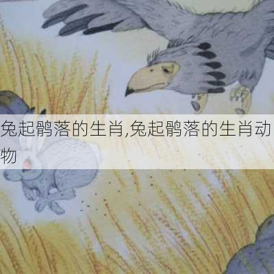 兔起鹘落的生肖,兔起鹘落的生肖动物