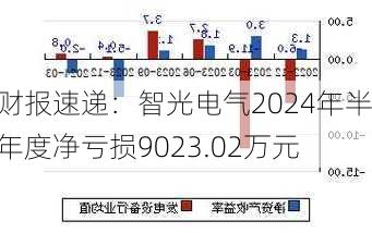 财报速递：智光电气2024年半年度净亏损9023.02万元