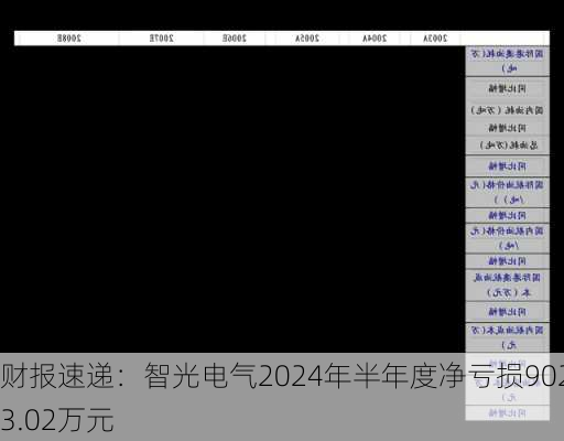 财报速递：智光电气2024年半年度净亏损9023.02万元