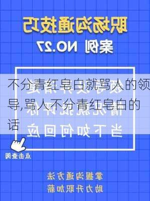 不分青红皂白就骂人的领导,骂人不分青红皂白的话