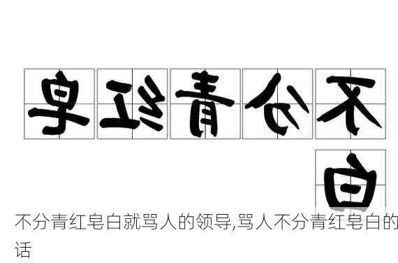 不分青红皂白就骂人的领导,骂人不分青红皂白的话