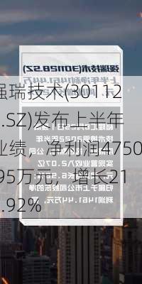 强瑞技术(301128.SZ)发布上半年业绩，净利润4750.95万元，增长217.92%