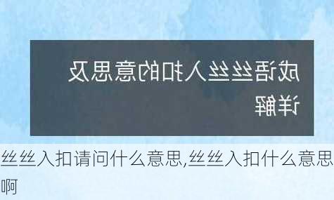 丝丝入扣请问什么意思,丝丝入扣什么意思啊