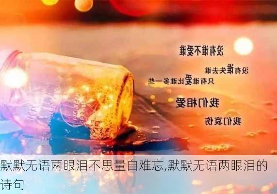 默默无语两眼泪不思量自难忘,默默无语两眼泪的诗句