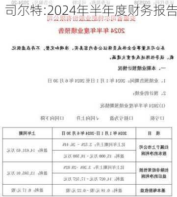 司尔特:2024年半年度财务报告