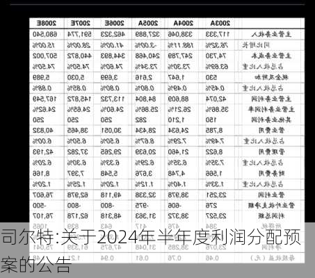 司尔特:关于2024年半年度利润分配预案的公告