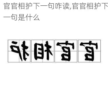 官官相护下一句咋读,官官相护下一句是什么