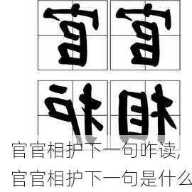 官官相护下一句咋读,官官相护下一句是什么